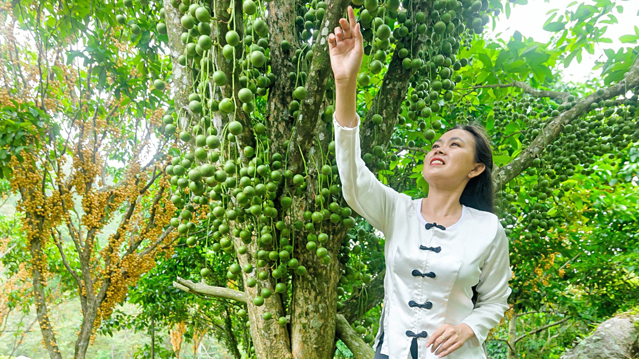 vuon trai cay mai tung house view dep