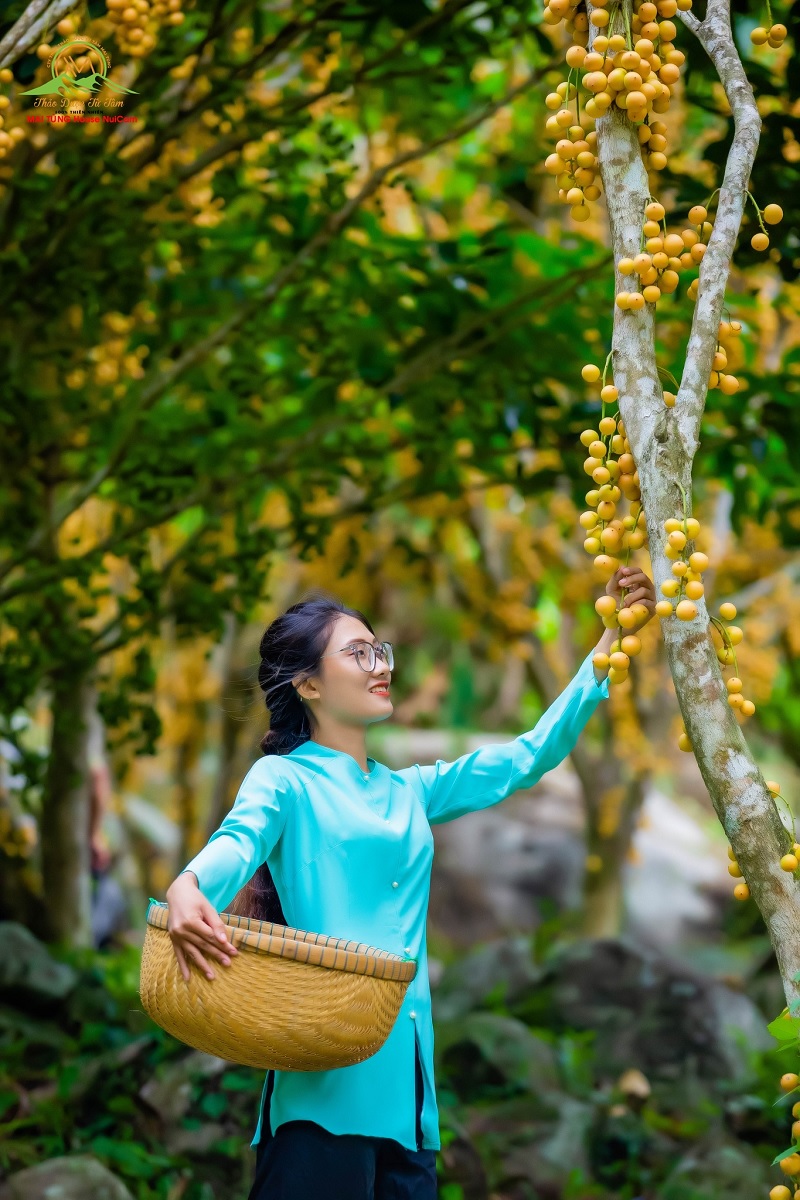 vuon dau mai tung house nui cam view dep 2