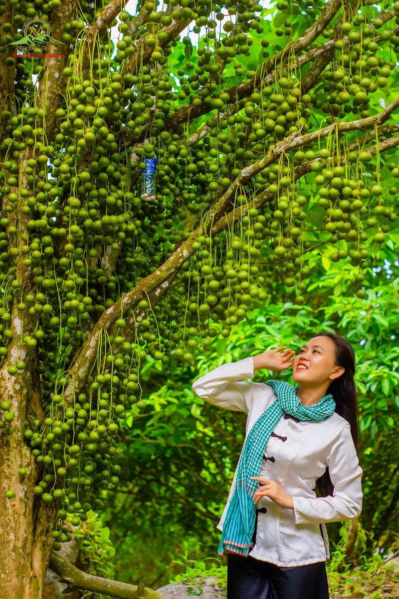 vuon dau mai tung house nui cam view dep