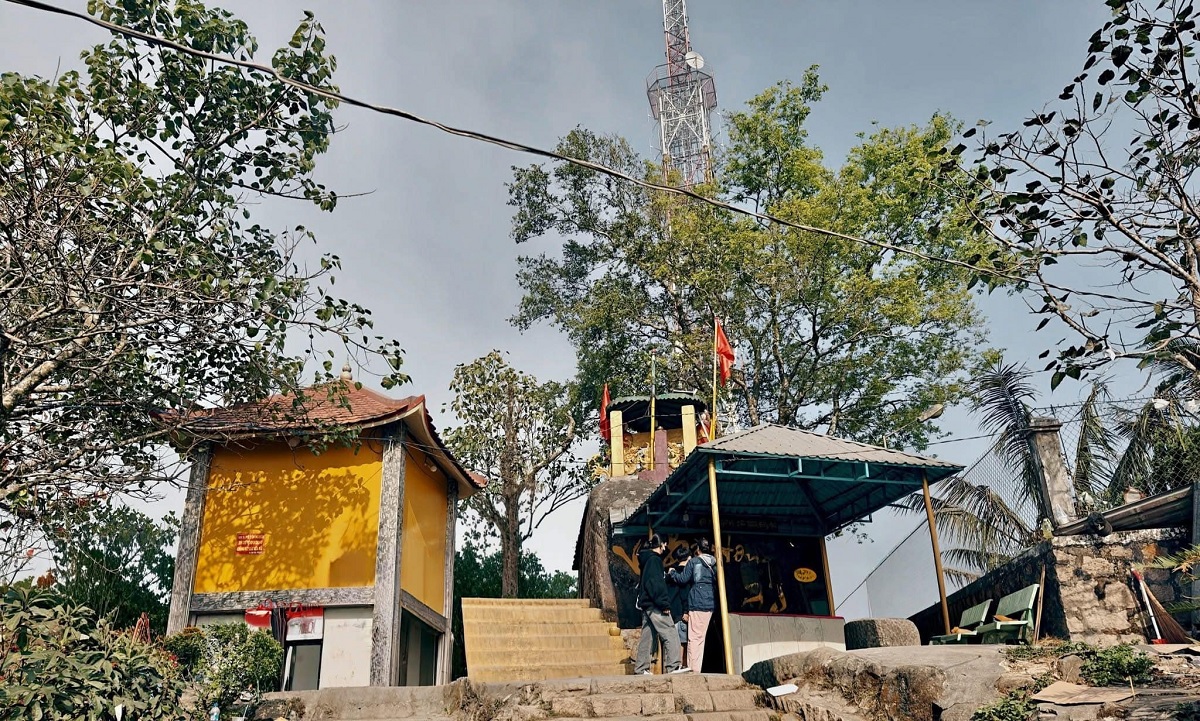 dien bo hong nui cam